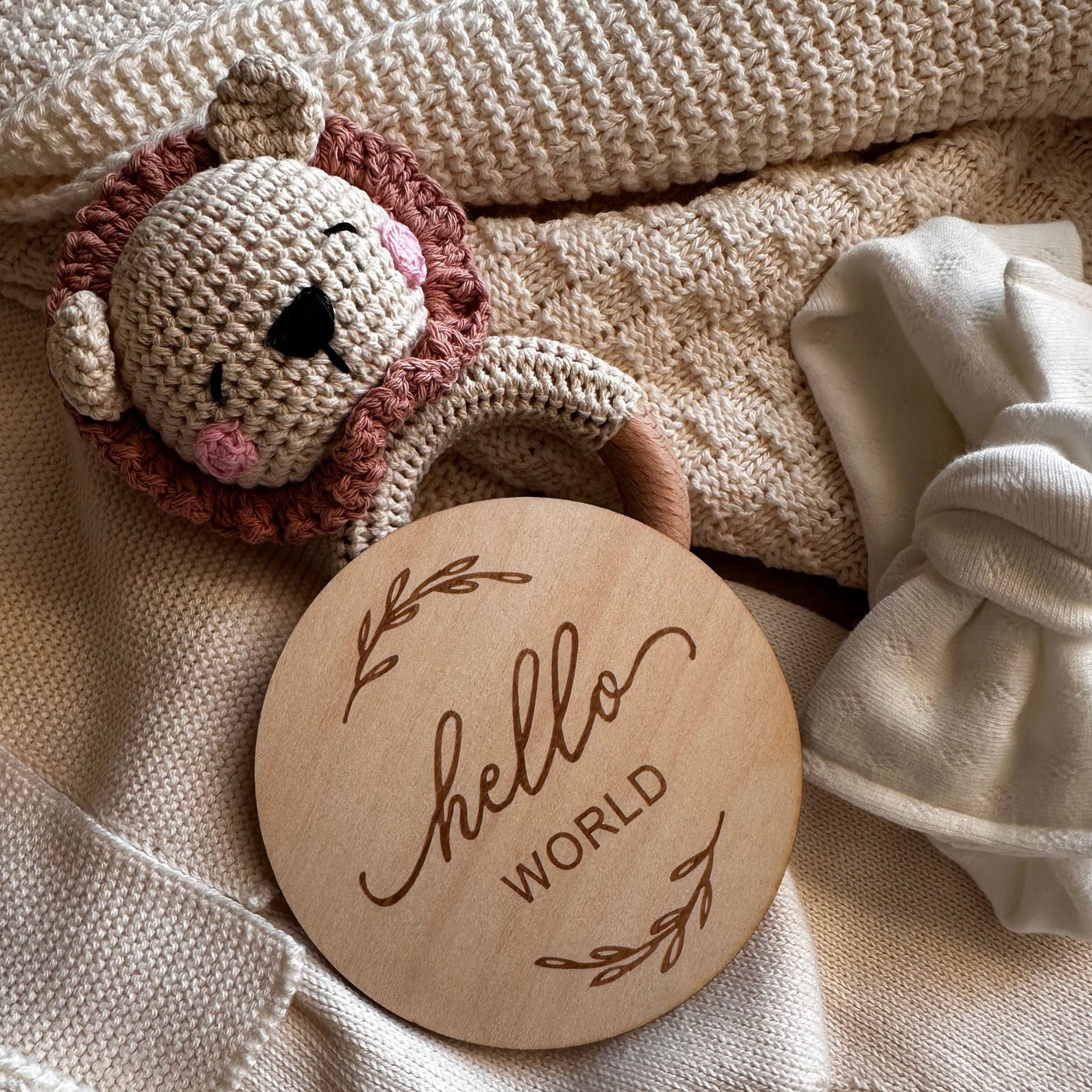 Una Targhetta Fotografica Hello World - Milestone Disc - Baby Rainbow Shop - P.IVA 04847500230